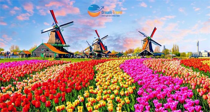 Du Lịch Châu Âu - Khám Phá 6 Quốc Gia: Đức - Thụy Sĩ - Luxembourg - Hà Lan - Bỉ - Pháp